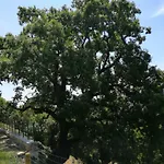 Castelvecchio, Casa Con Piscina A * Fabriano