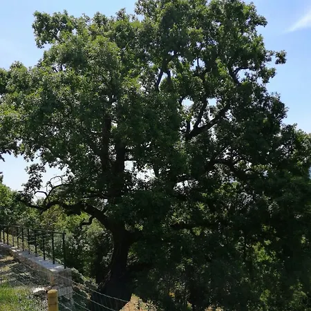 Castelvecchio, Casa Con Piscina A * Fabriano