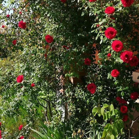 Gospodarstwo agroturystyczne Castelvecchio, Casa Con Piscina A